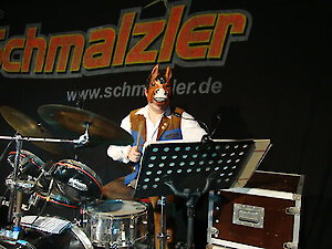 Die Schmalzler - Bayerischer Wald